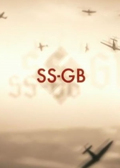   (2017)
