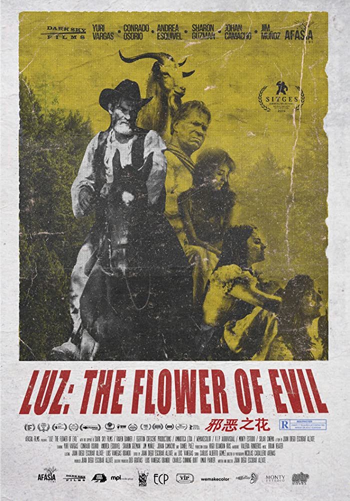   (2019)