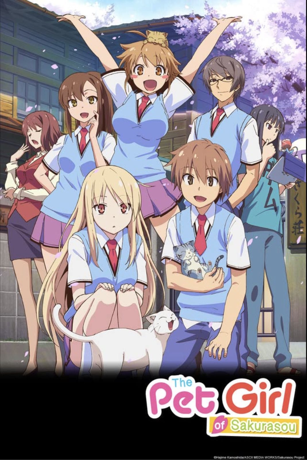    (2012-2013)