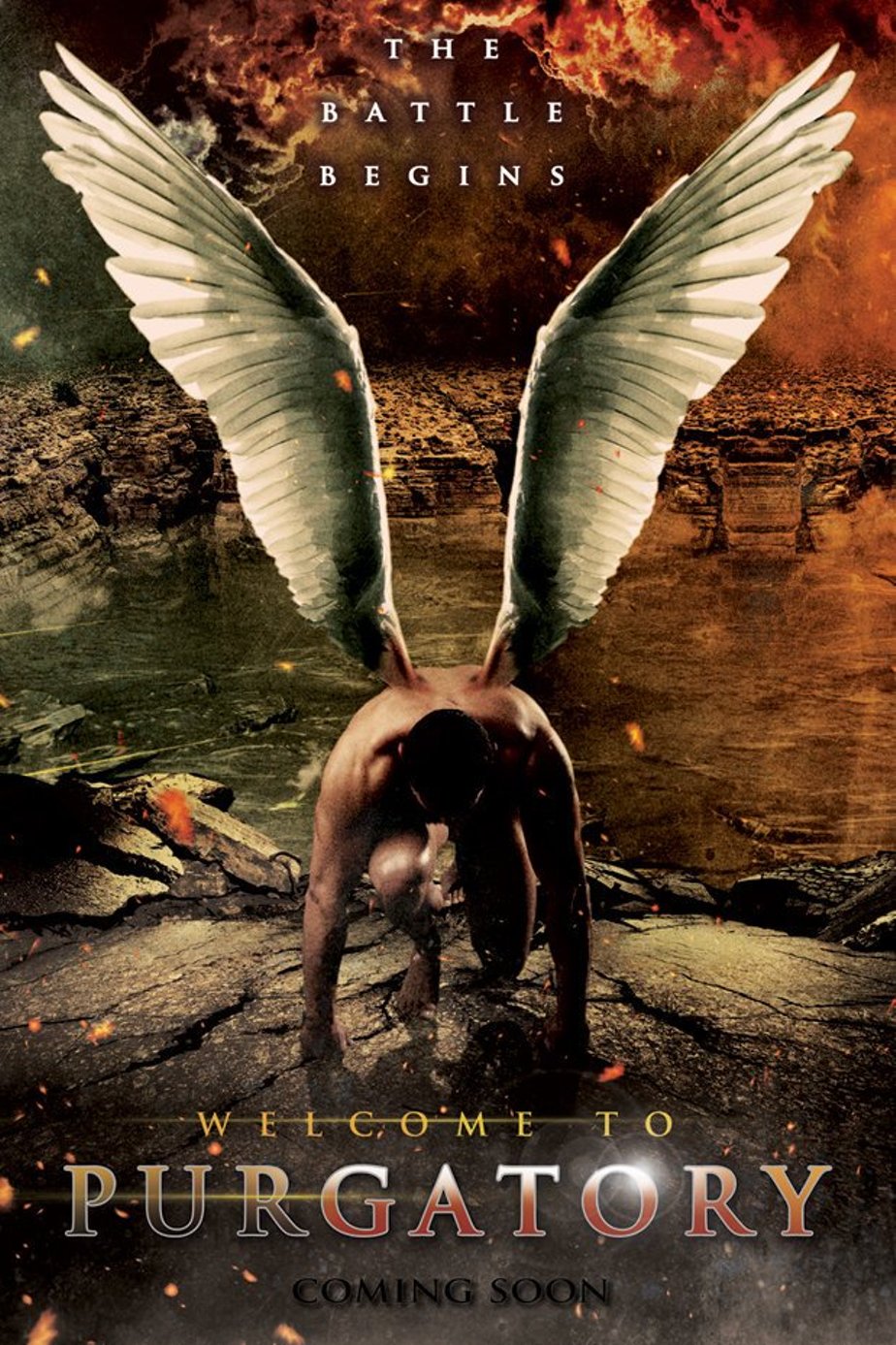     (2017)