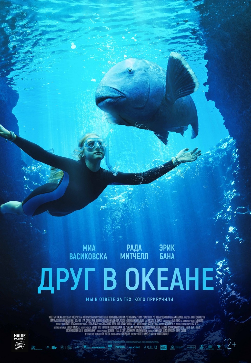    (2022)
