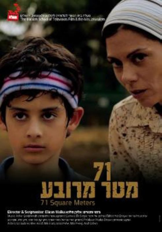 71   (2010)