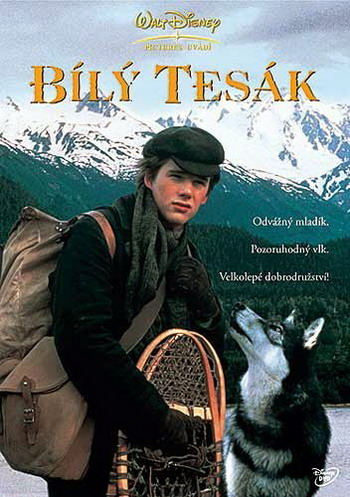   (1991)