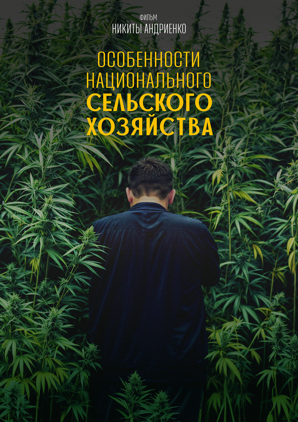 Особенности национального сельского хозяйства (2024)