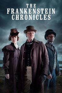  (2015-2017) -  1