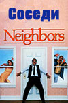  (1981)