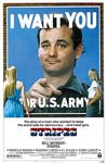  (1981)