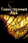   (2004)