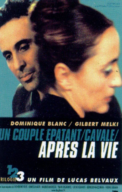   (2002)