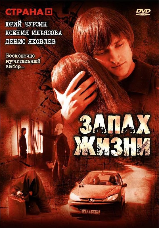   (2007)