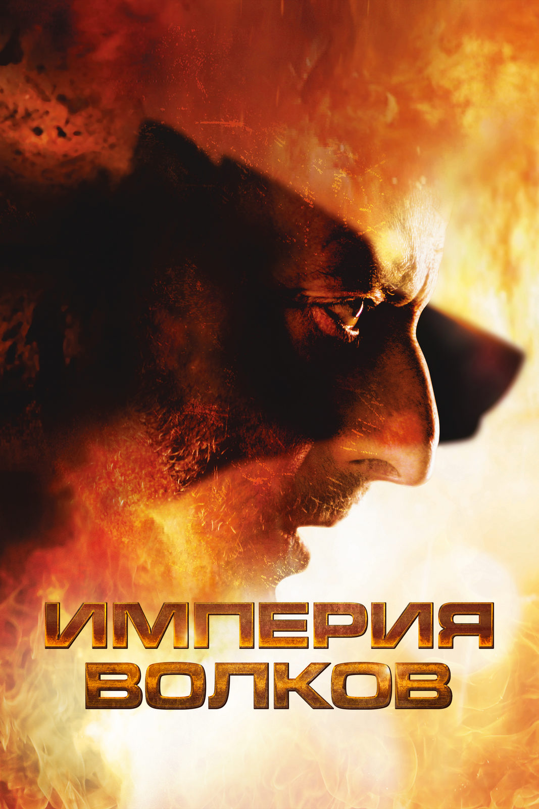   (2005)