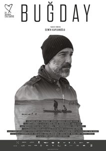  (2017) -  4