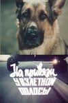 На привязи у взлетной полосы (1989)