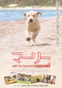    (2008) -  5