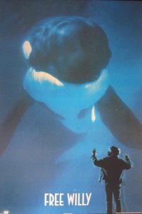  (1993) -  2