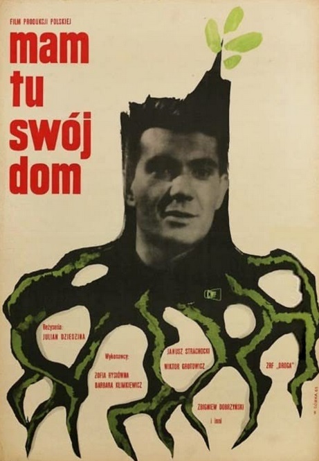   (1963)