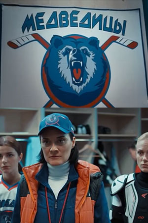 Медведицы