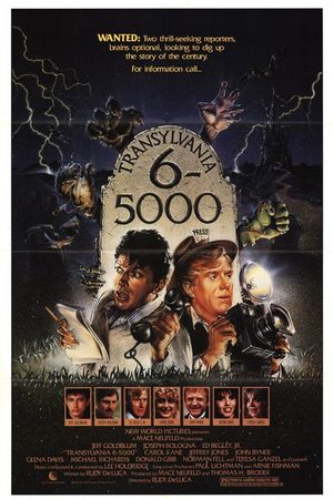  6-5000