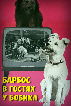 Странный мир мультфильм