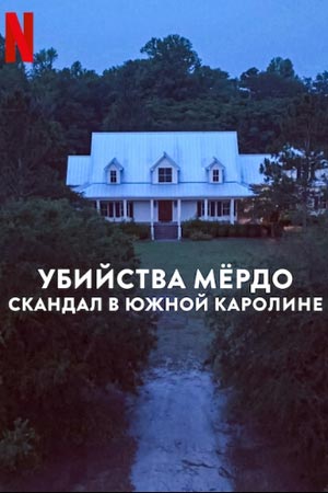  ̸:    