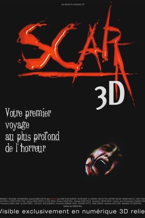  3D