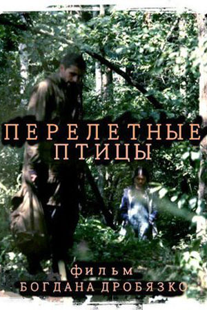 Перелётные птицы кадры из фильма