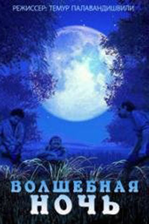 Волшебная ночь