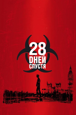 28  ...   