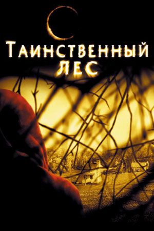 Таинственный лес кадры из фильма