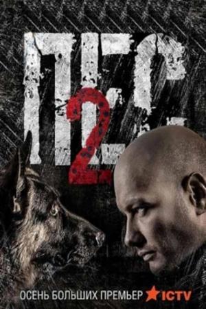 ϸ-2