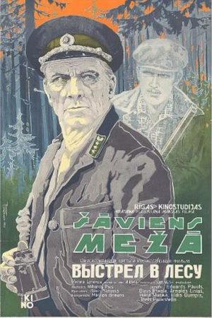 Выстрел в лесу