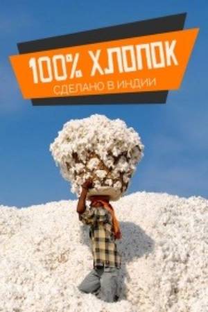 100% .   