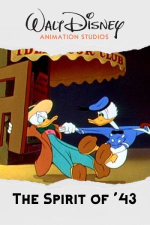 43-
