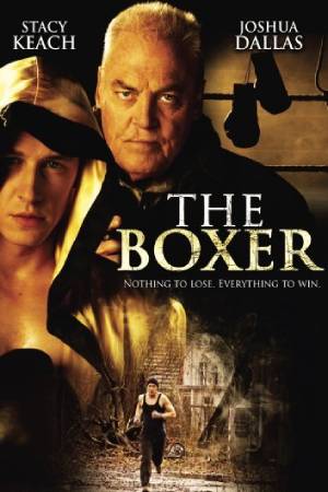 2009 Boxer The