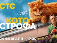Никита Кологривый стал шпицем во втором сезоне «Котострофы»