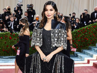 Met Gala 2022:  ,      -  11