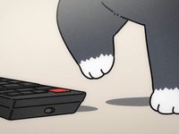        :   ,    
