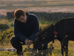 «Банши Инишерина», «Фабельманы» и «Белый лотос»: Итоги «Золотого глобуса»