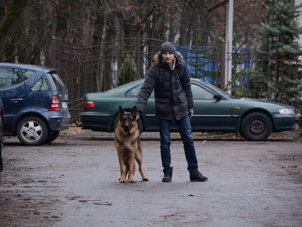 Мухтар Новый След Новые Серии 2022 Года Мухтар Новый След Новые Серии 2022 Года