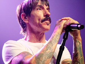     Red Hot Chili Peppers  