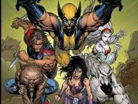     Marvel 
