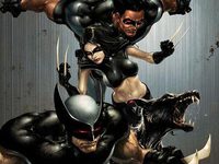      Marvel 
