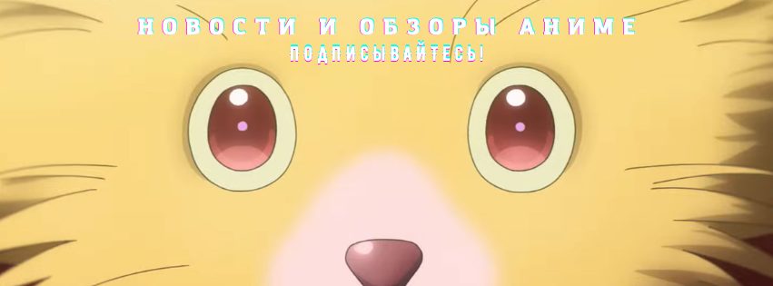 ,  :         