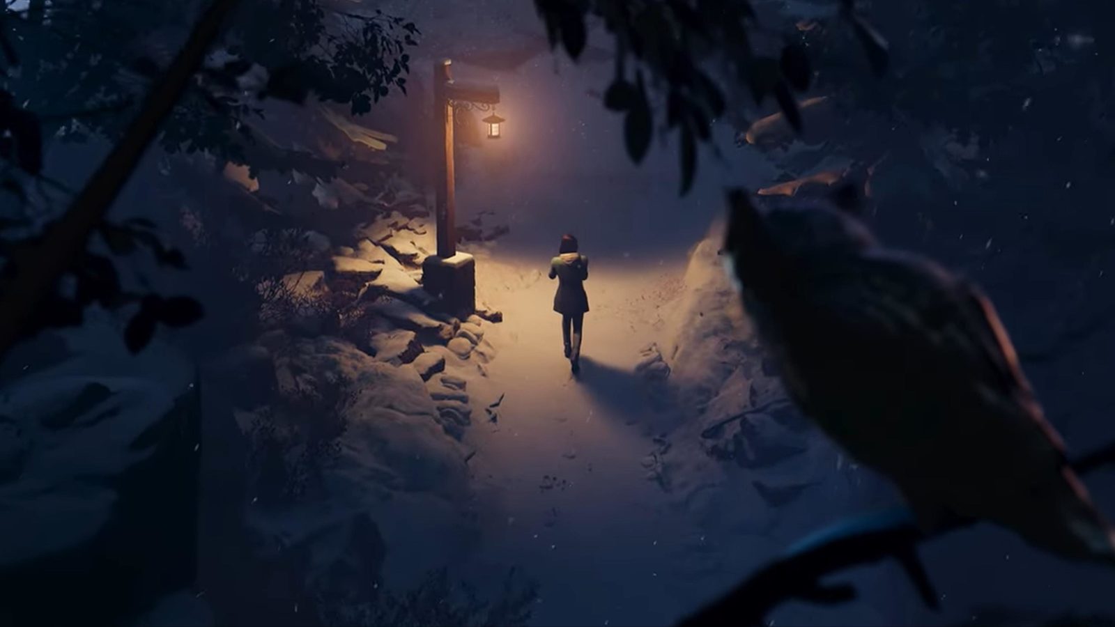            Life Is Strange