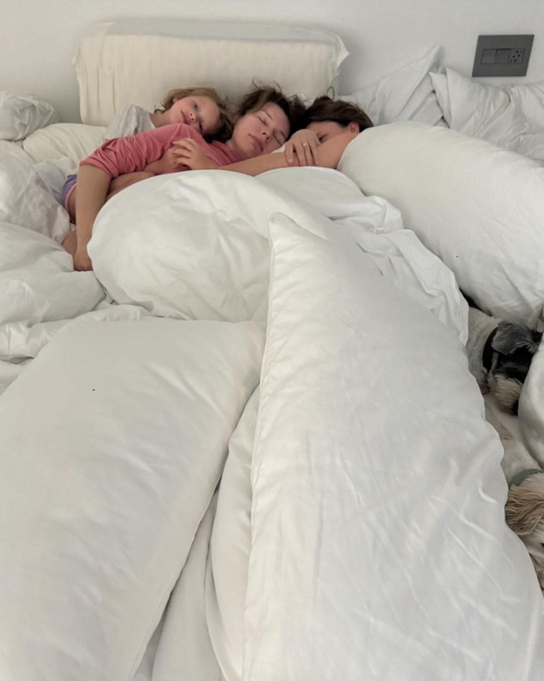   :   ,       