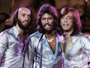       Bee Gees