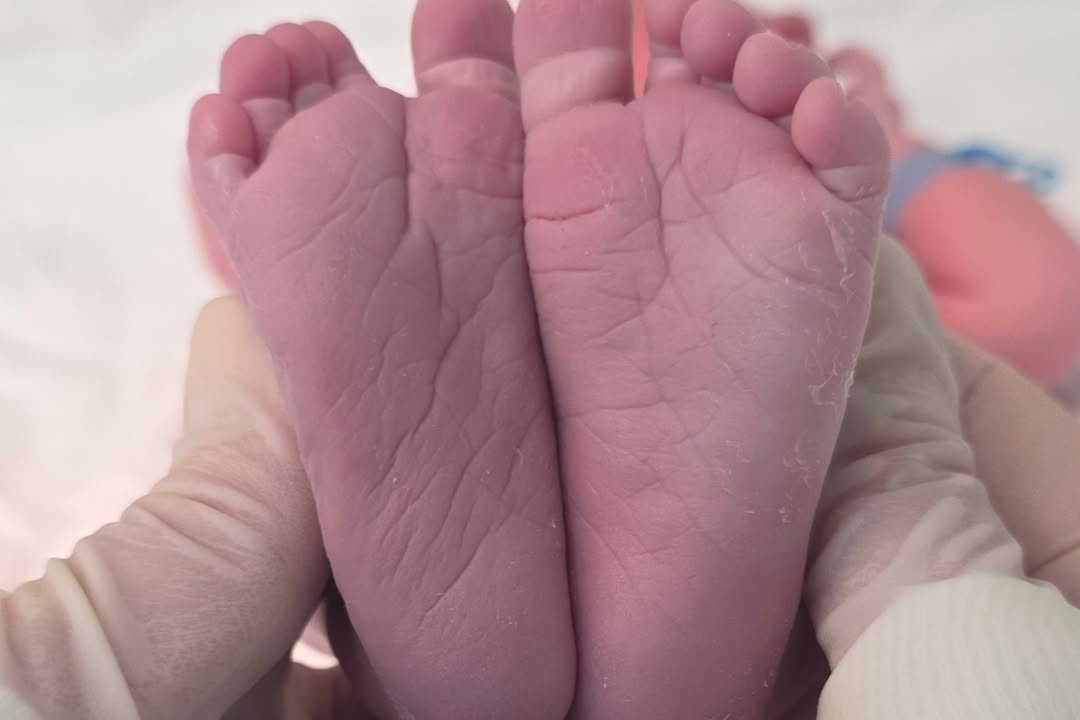 ���� �� �� ����� ���� �����: � ������ ���������� � ������ ����������� ������� ���