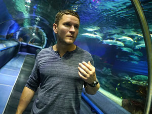 Сергей Жарков подружится с «Дельфином»