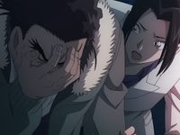 28-   -  :    