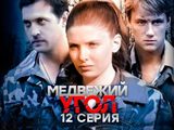   (2009) - 12-  -   
